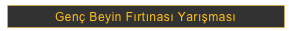 Genç Beyin Fırtınası Yarışması